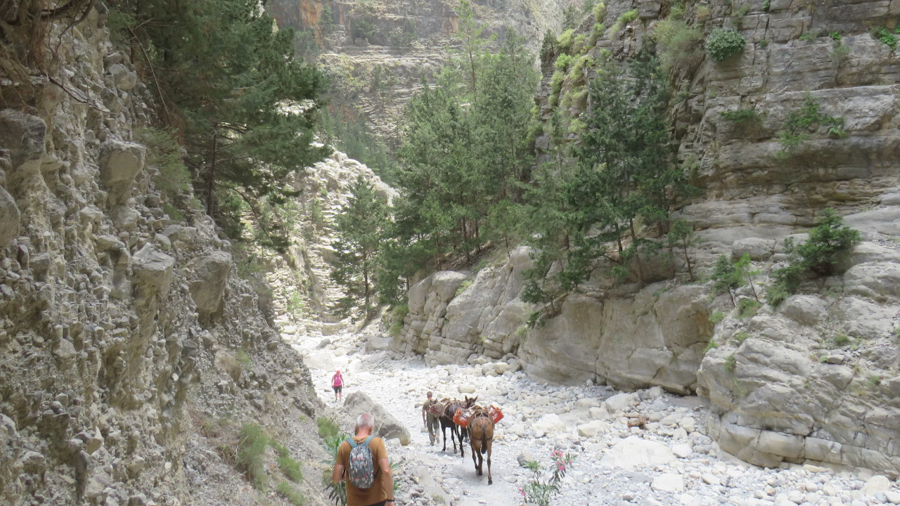 Samaria Gorge Trek